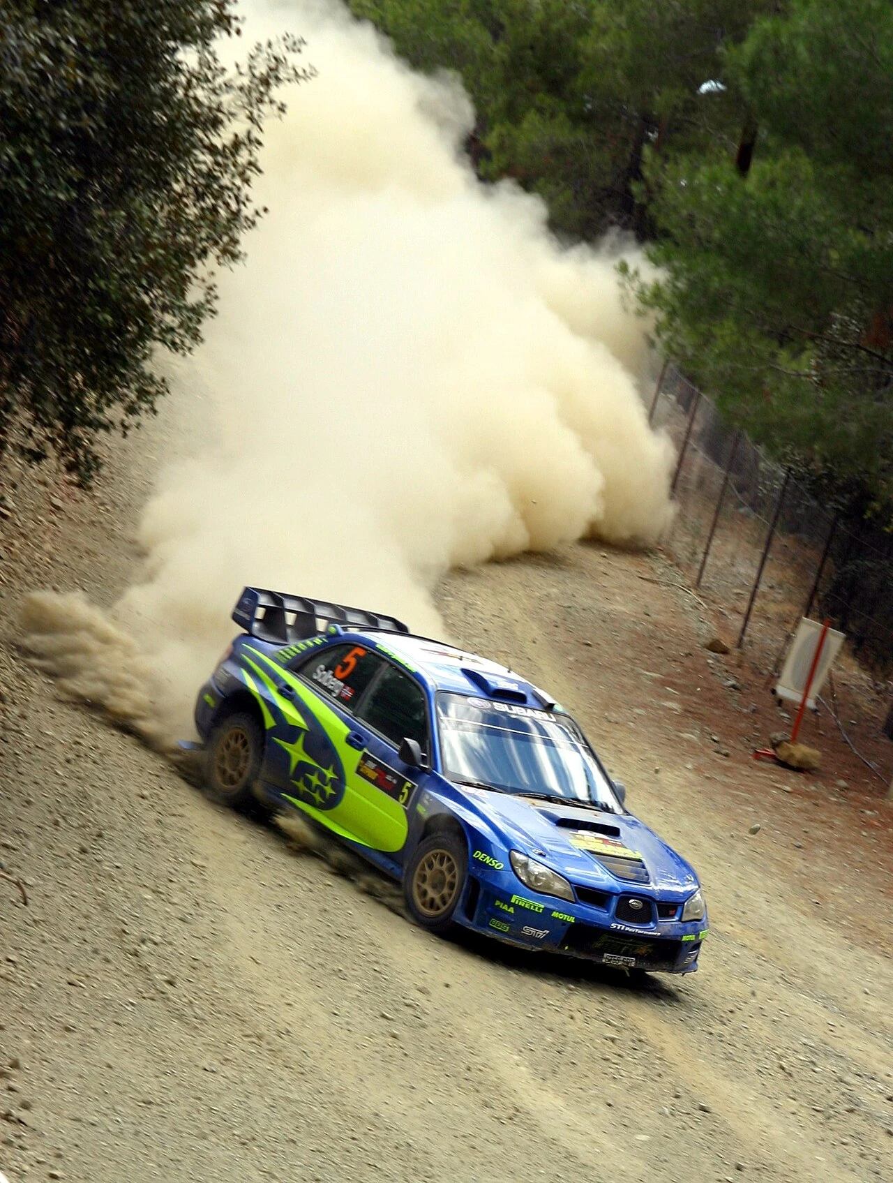 How Rally Drivers See the Road Differently