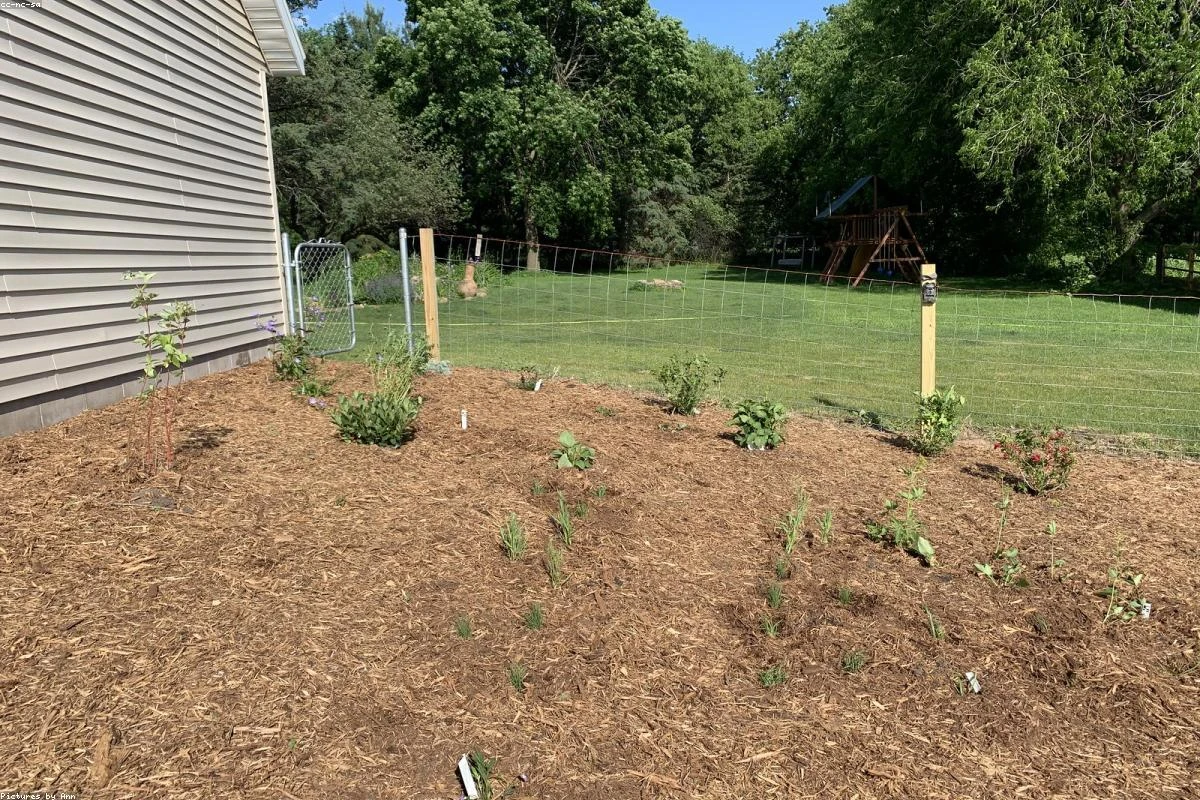 Flowers for Pollinators