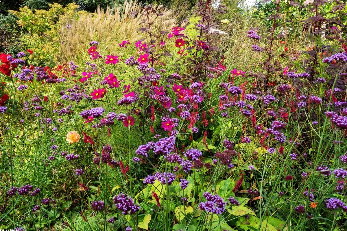 Water Your Garden Right