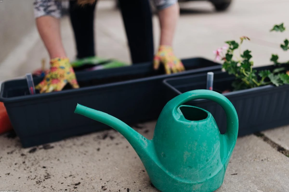 Permaculture Principles