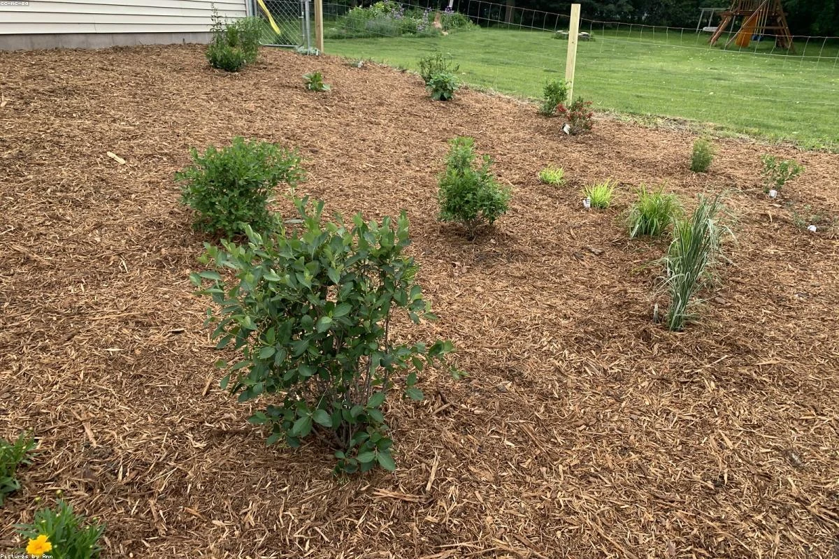 Build a Raised Garden Bed