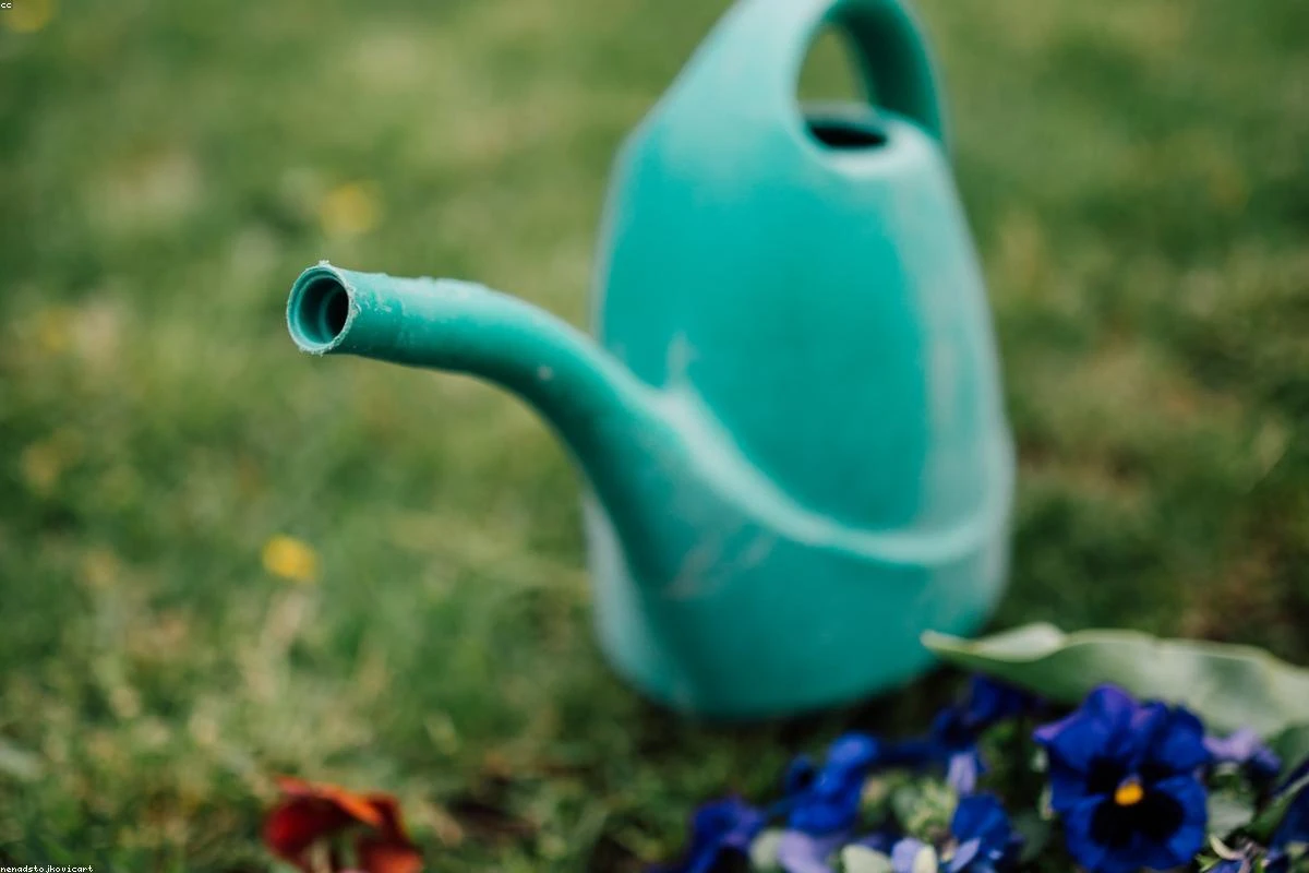 Garden Pest Control Naturally