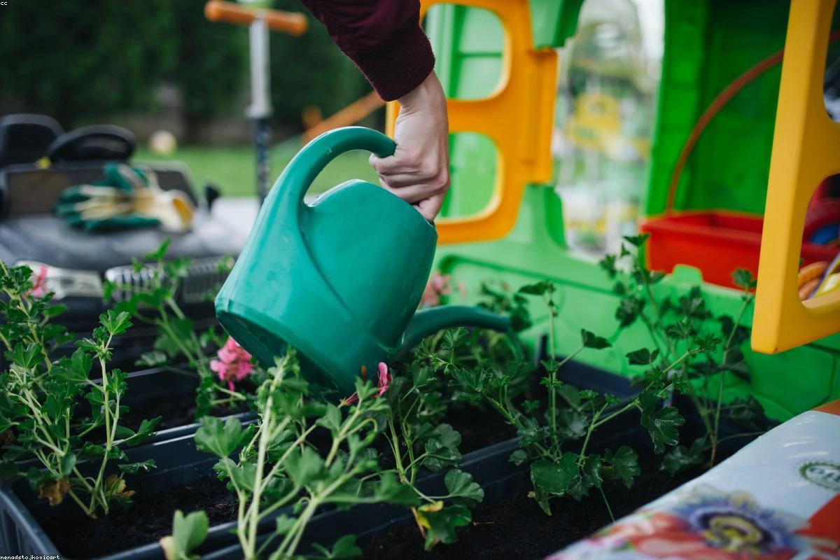Soil Health Matters