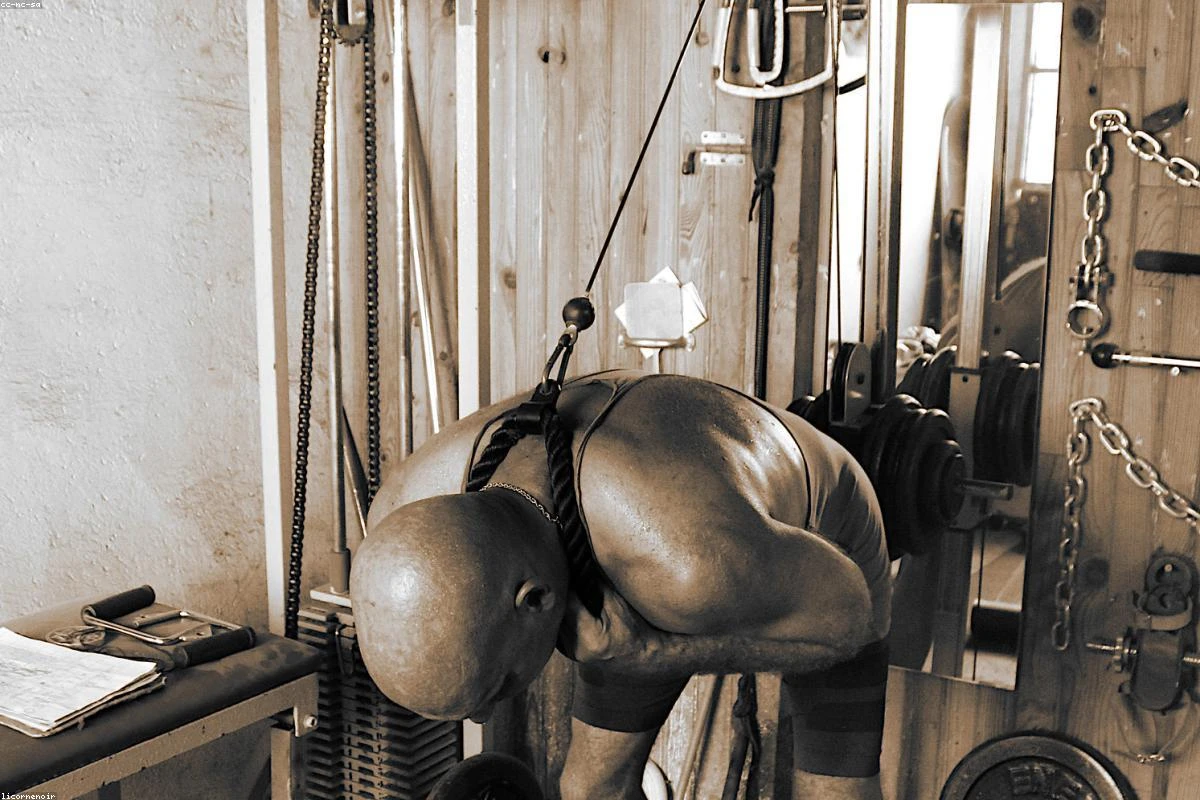 The Best Bodyweight Exercises Ranked