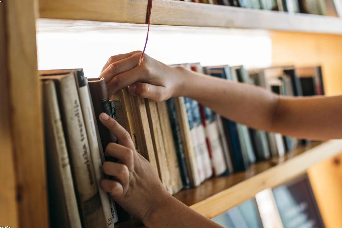 How to Build a Home Library on a Budget