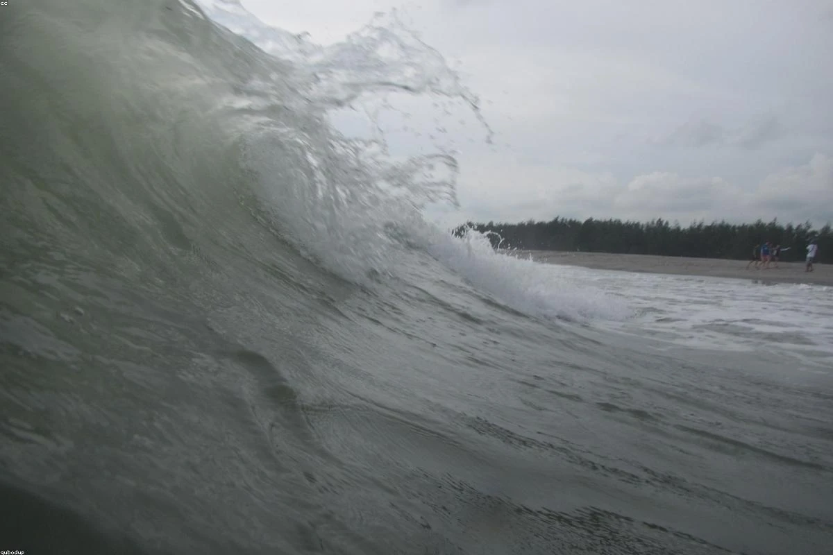 Best Beaches for Beginner Surfers