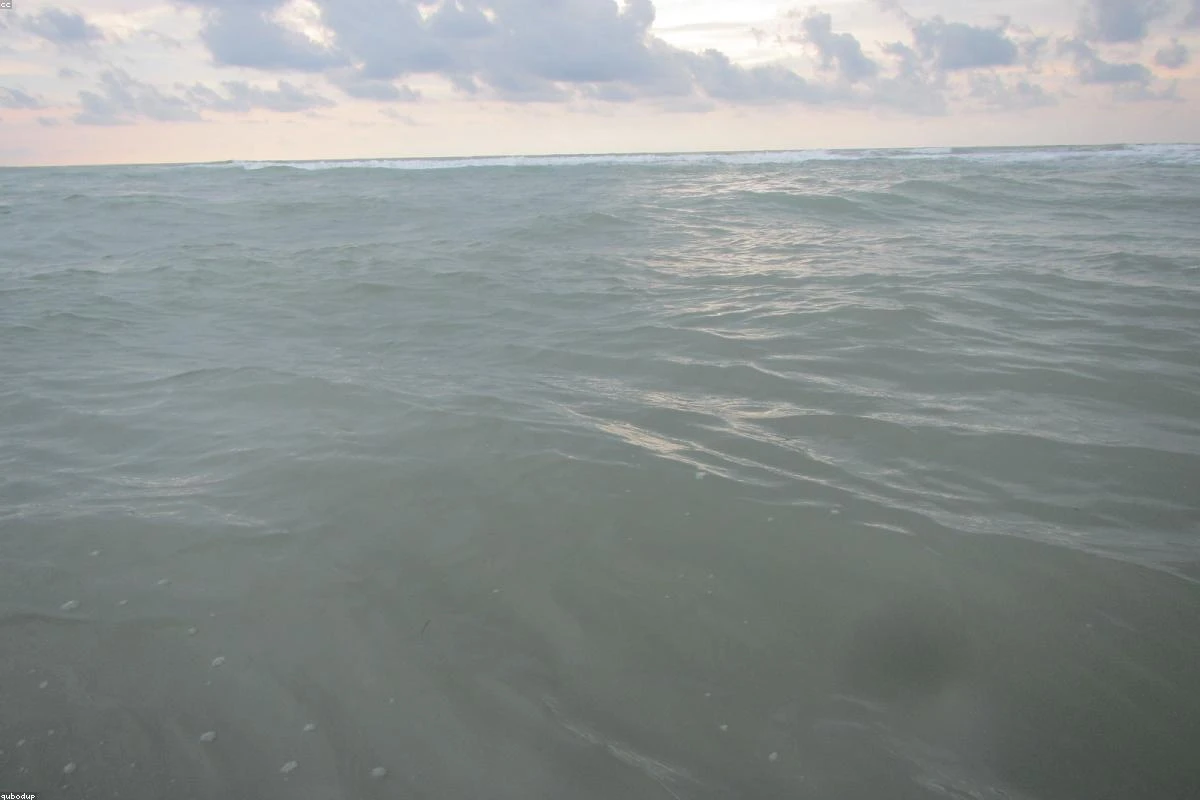 The Benefits of Cold Water Swimming