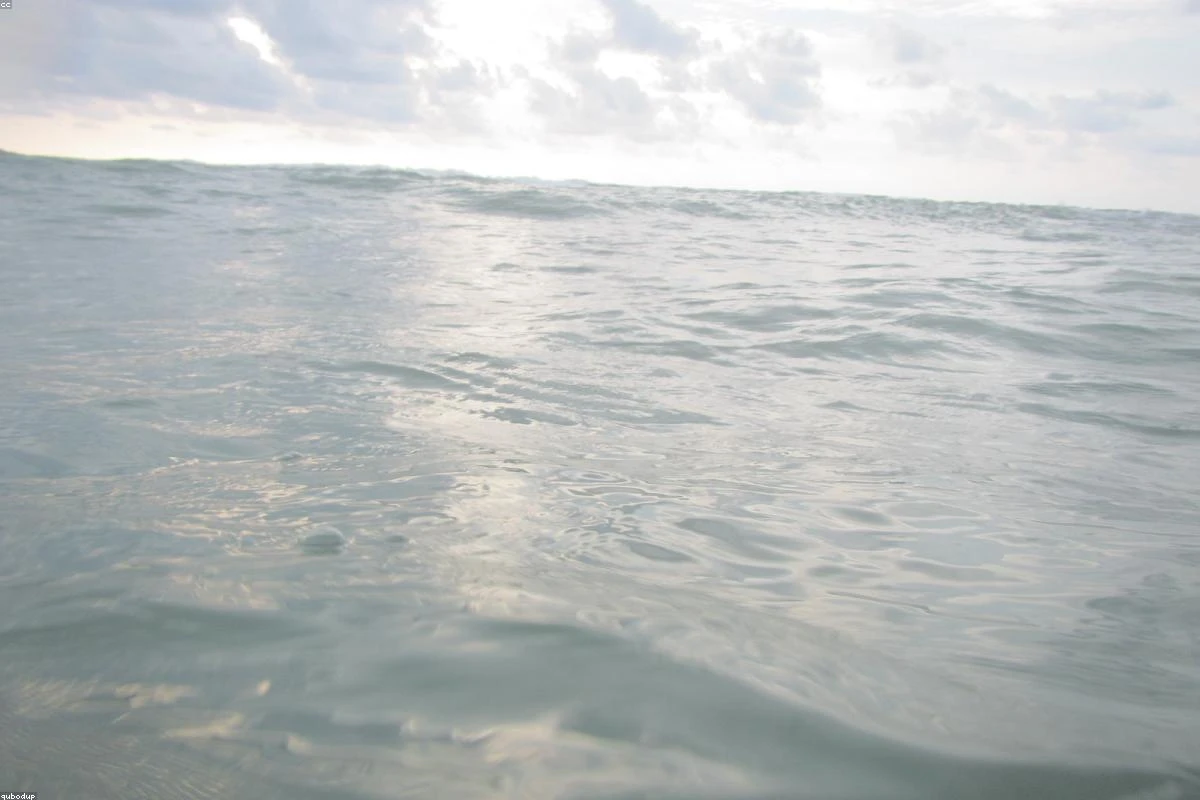 Swimming in 2026